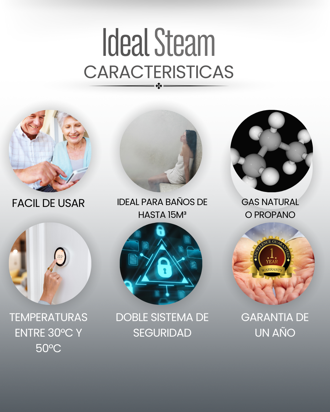 GENERADOR DE VAPOR IDEALSTEAM