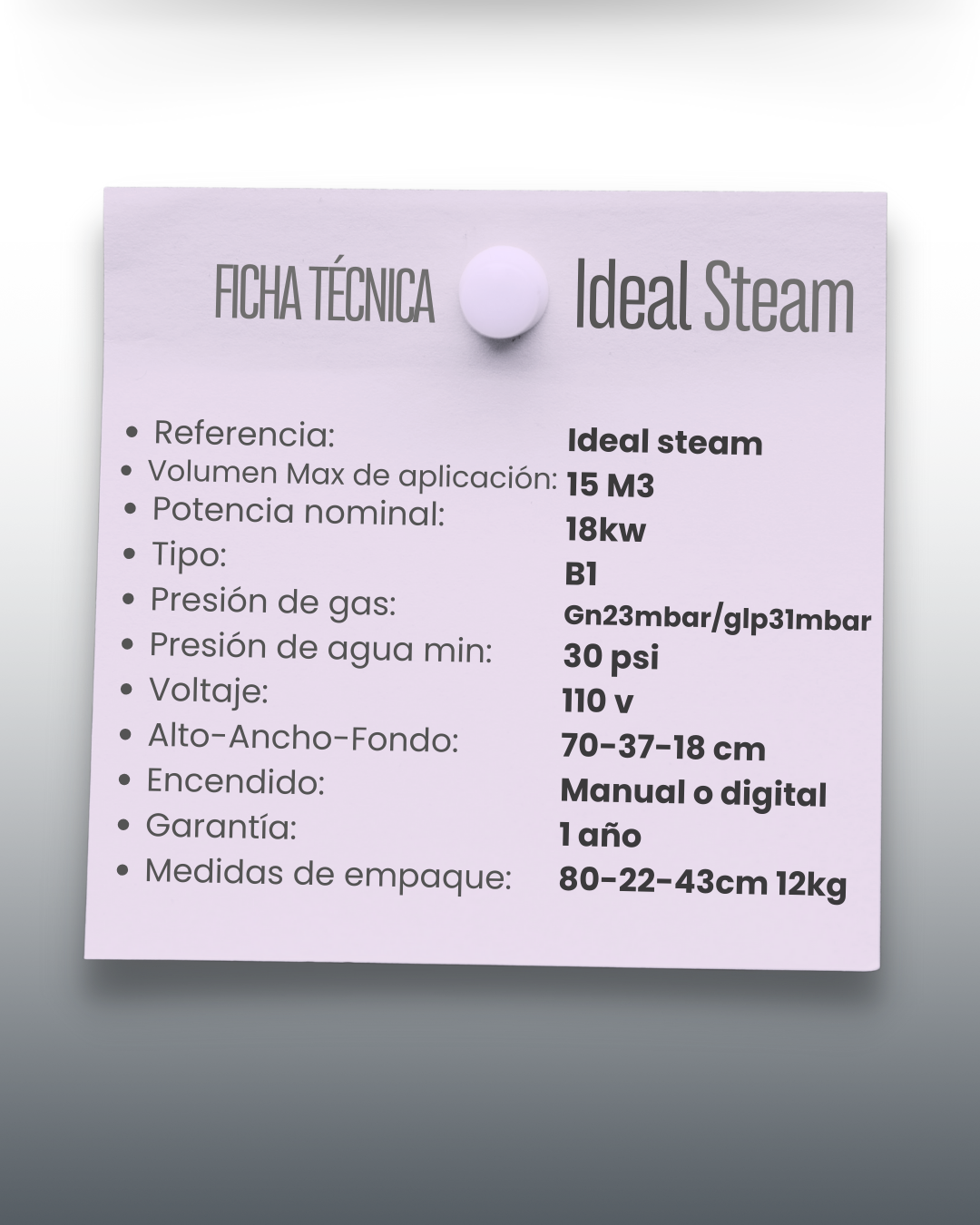 GENERADOR DE VAPOR IDEALSTEAM