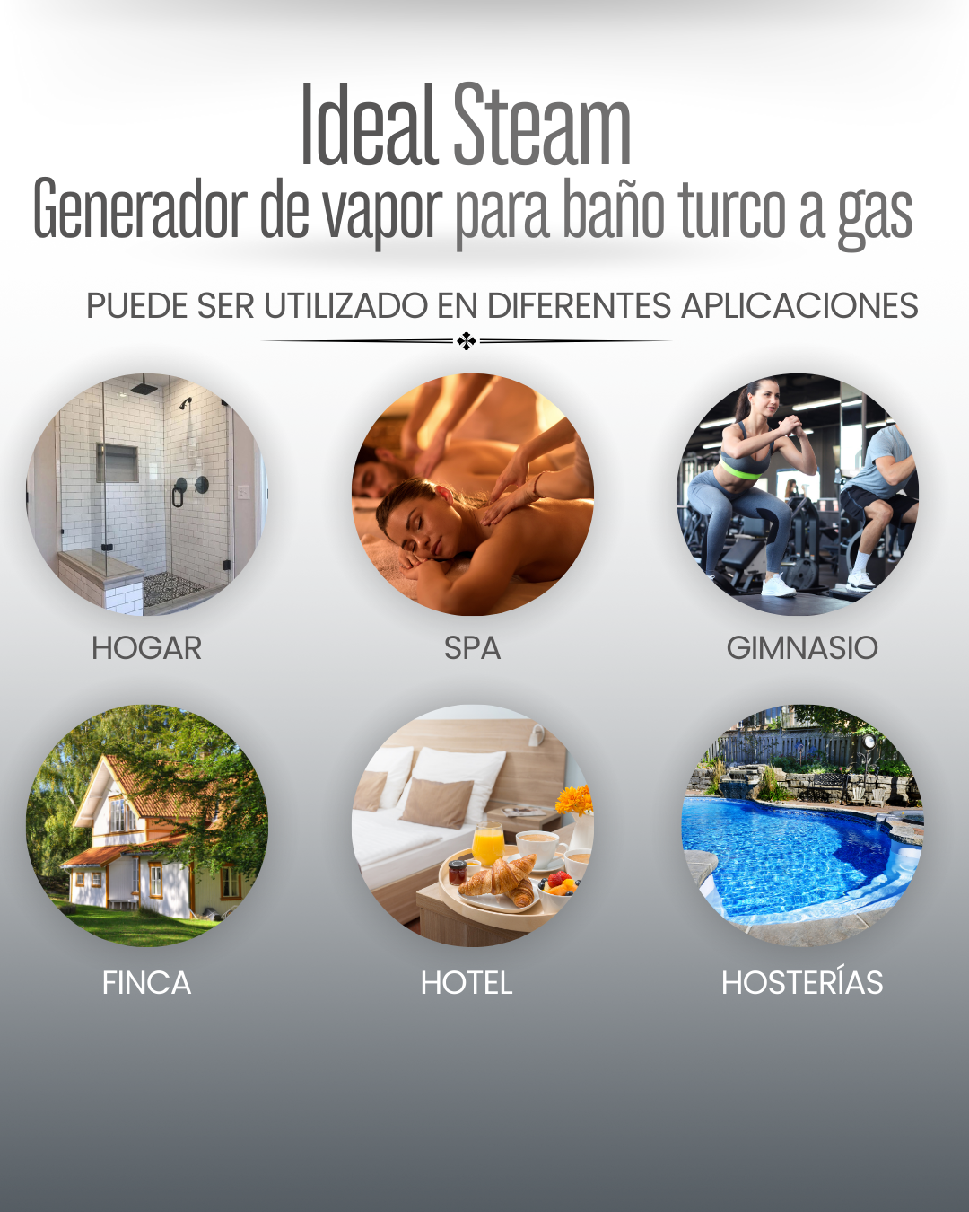 GENERADOR DE VAPOR IDEALSTEAM