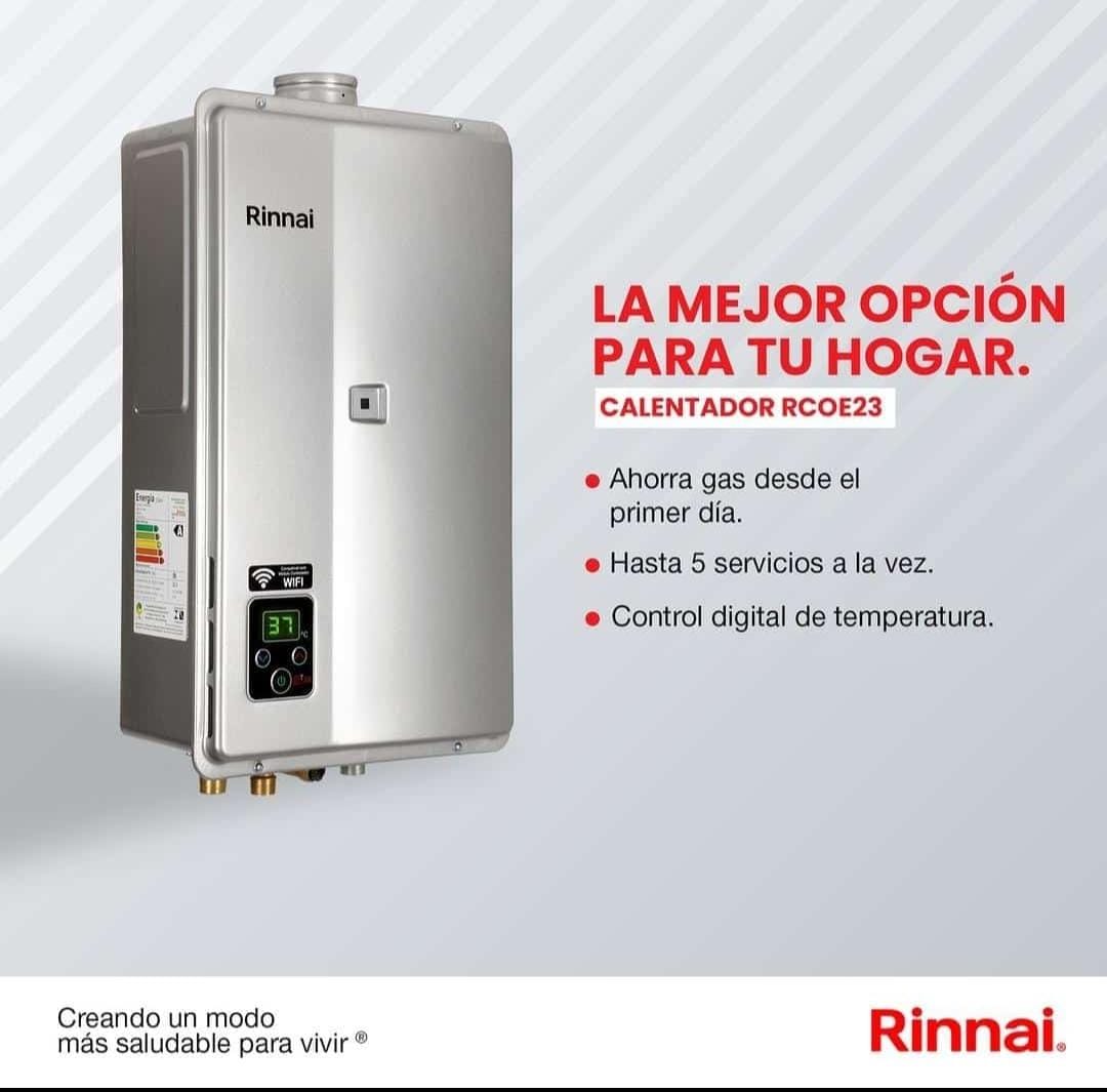 CALENTADOR DE PASO DE AGUA 23 LITROS TIRO FORZADO GAS PROPANO GRIS