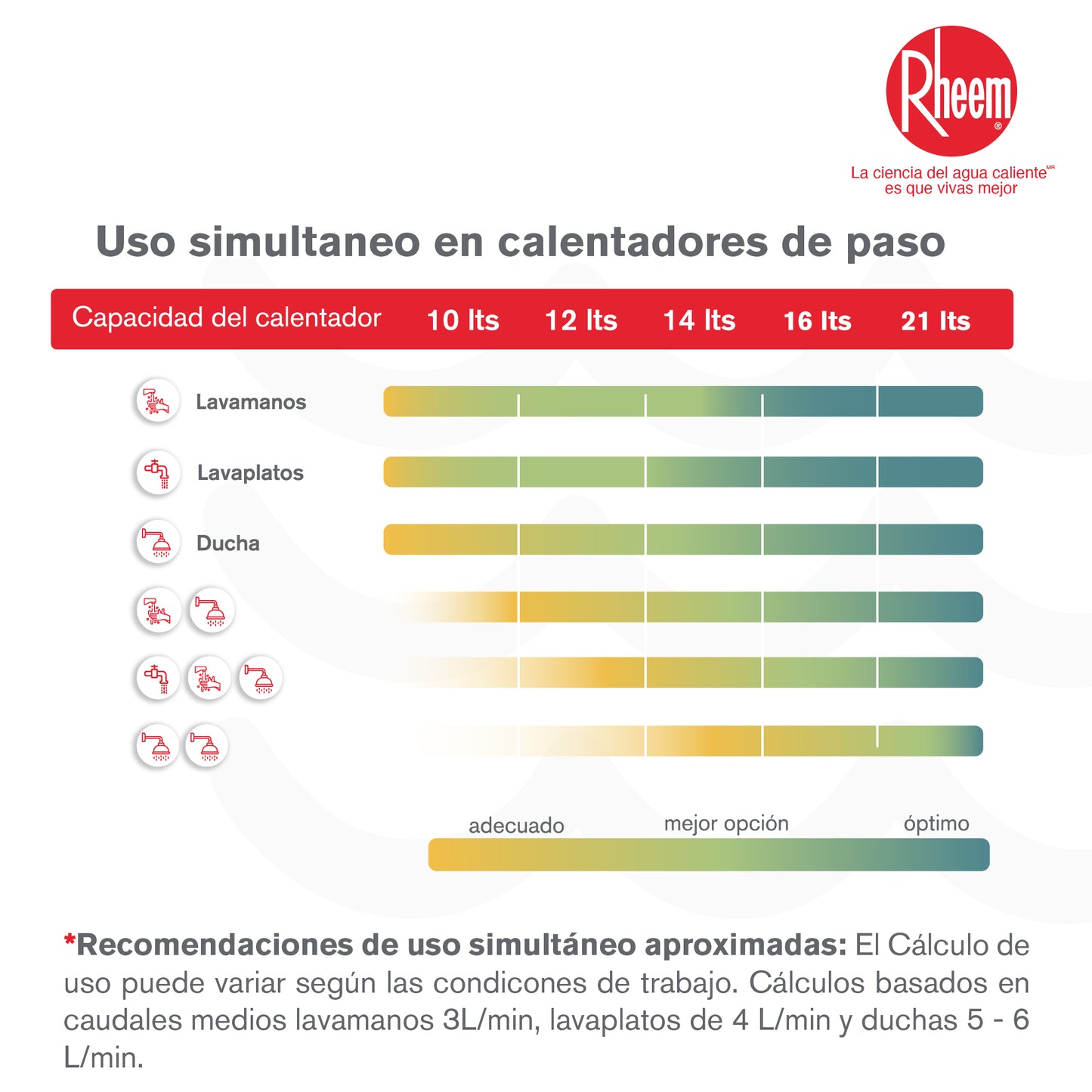 CALENTADOR 10 LITROS TIRO FORZADO MECANICO RHEEM