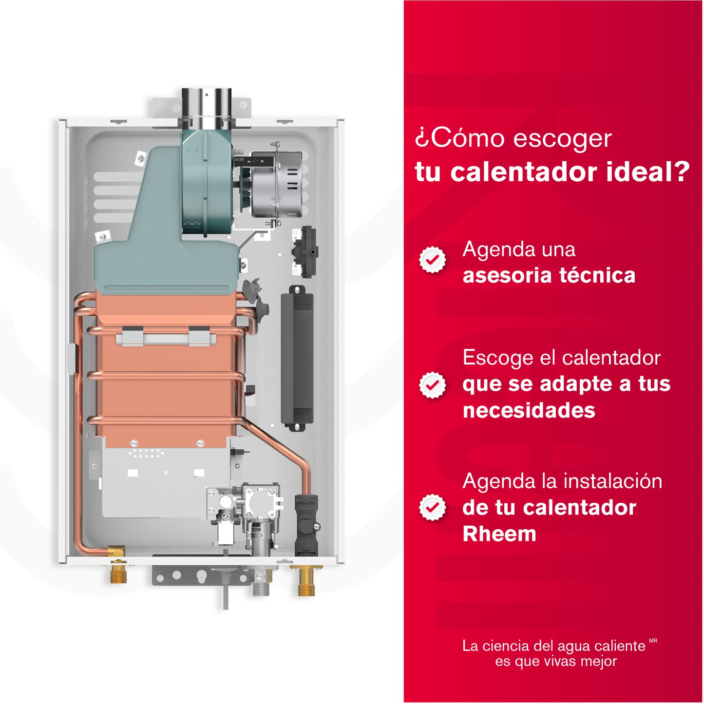 CALENTADOR 10 LITROS  TIRO FORZADO DIGITAL RHEEM