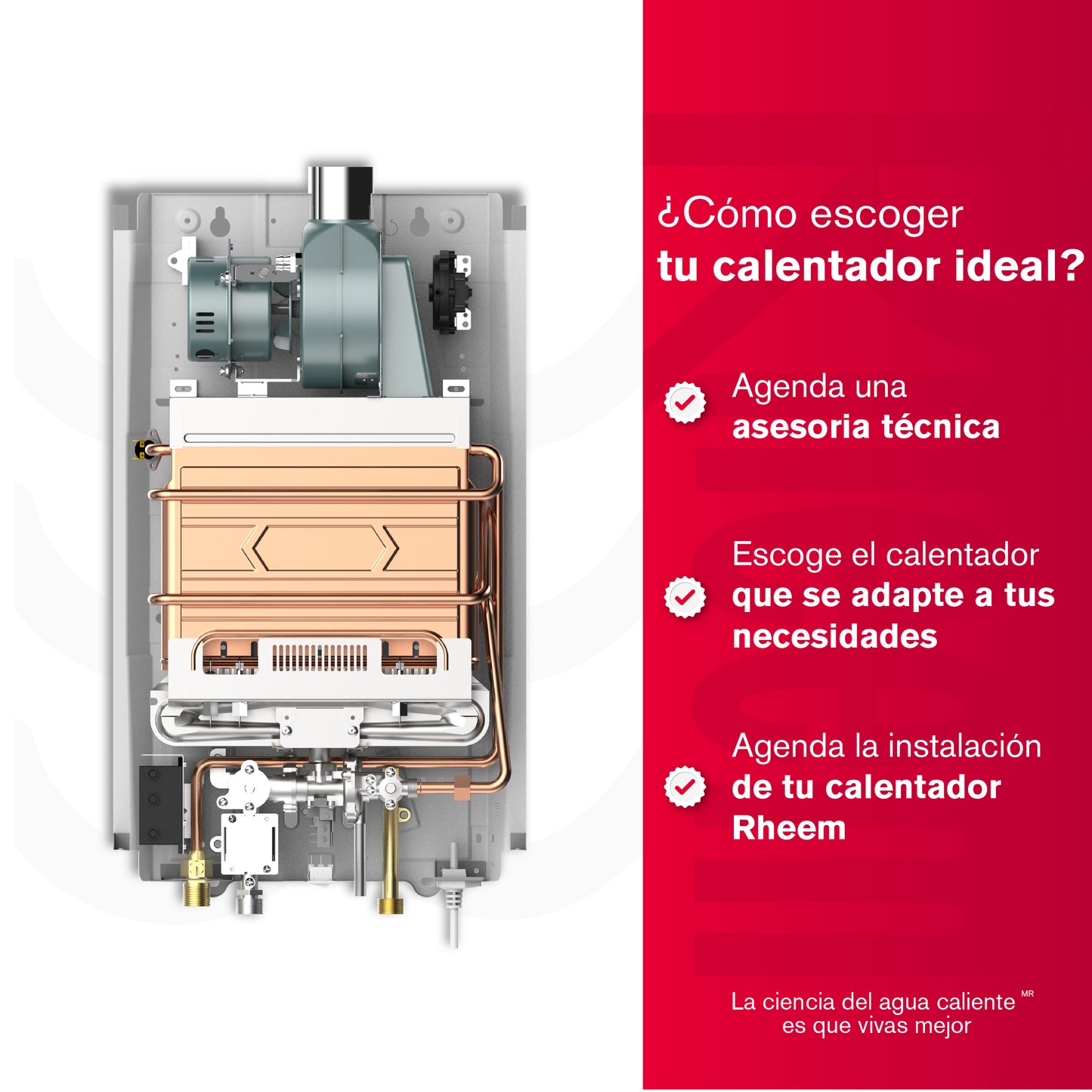 CALENTADOR 10 LITROS TIRO FORZADO MECANICO RHEEM